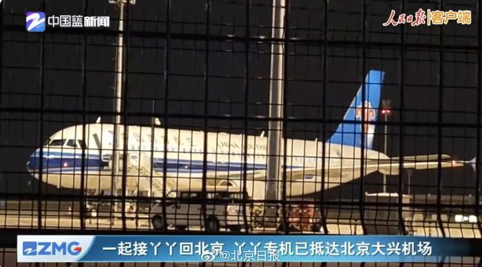 大熊猫“丫丫”搭乘专机抵达北京