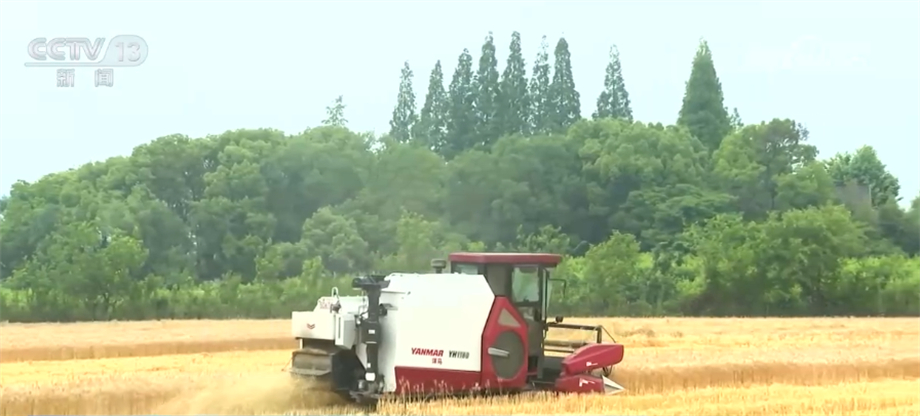 大规模小麦机收全面展开 “三夏”服务助收割