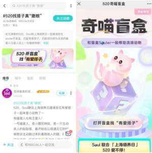 SoulApp携手“上海领养日”，寻找“公益搭子”关爱“毛孩子”