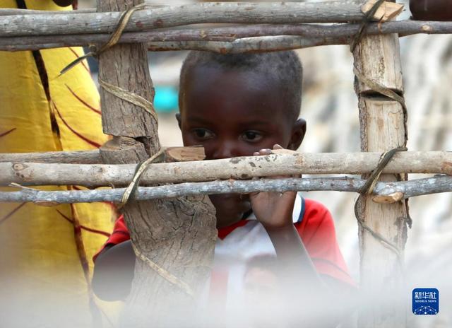 国际非洲儿童日：关注非洲之角干旱地区儿童